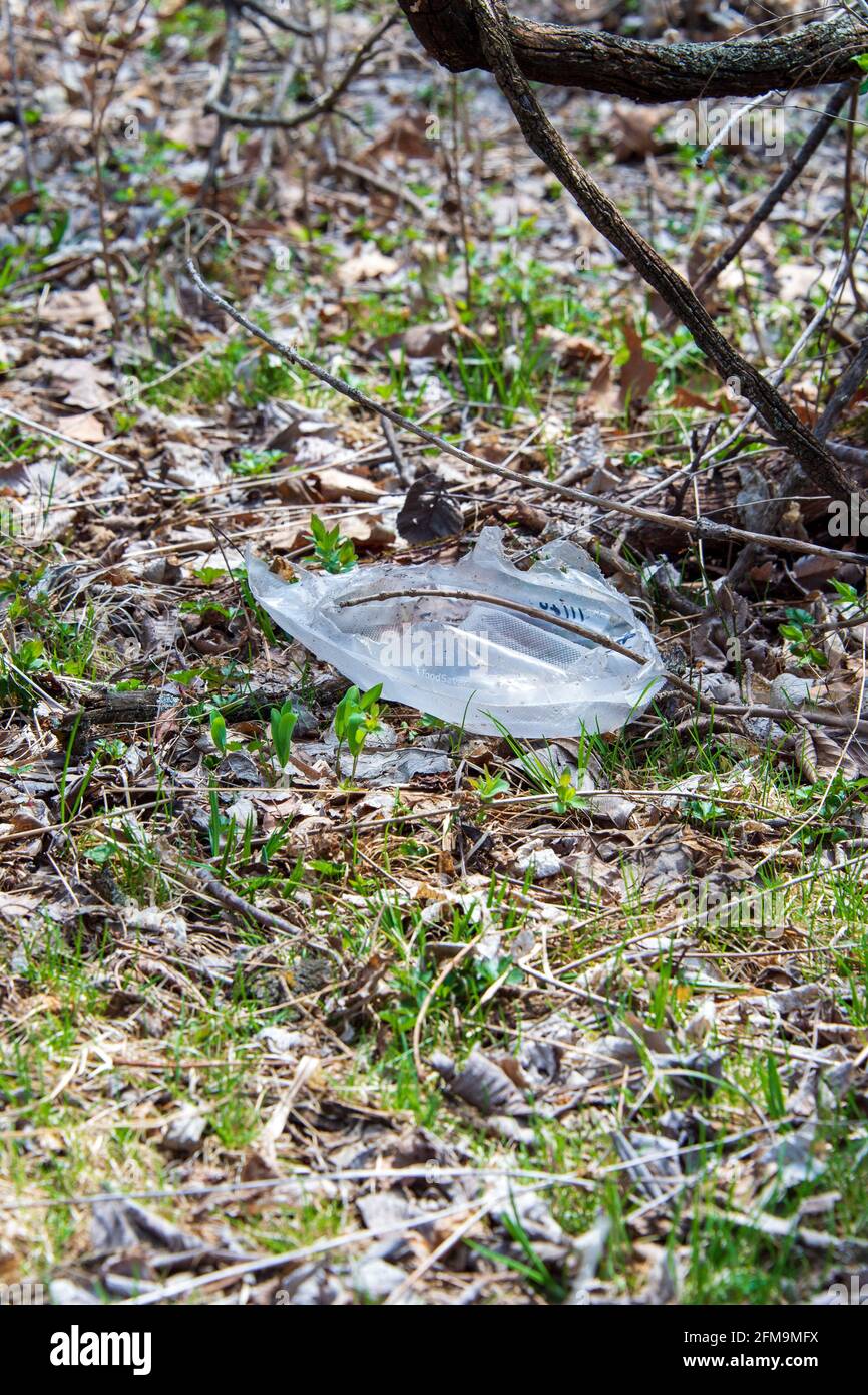 Weggeworfene Plastikfolie wurde auf einem kleinen Winterzweig oder Zweig auf einem Waldboden mit auftauchenden Frühlingsblättern und Gras in der Nähe gefangen. Stockfoto