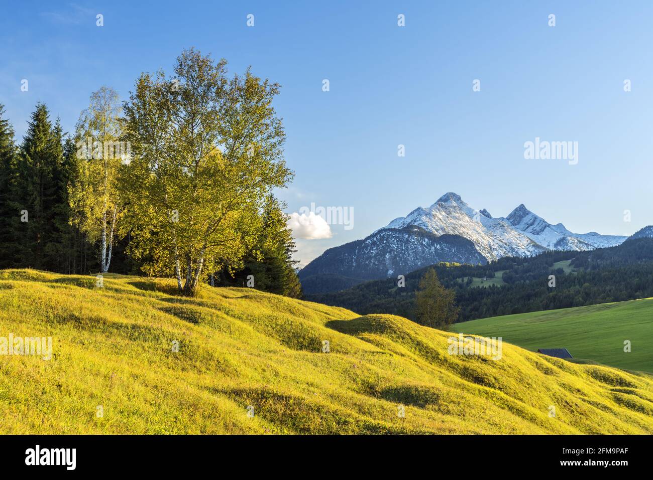 Buckelwiesen zwischen Krün und Mittenwald mit Blick auf die große Arnspitze (2196 m), Oberbayern, Bayern, Deutschland Stockfoto