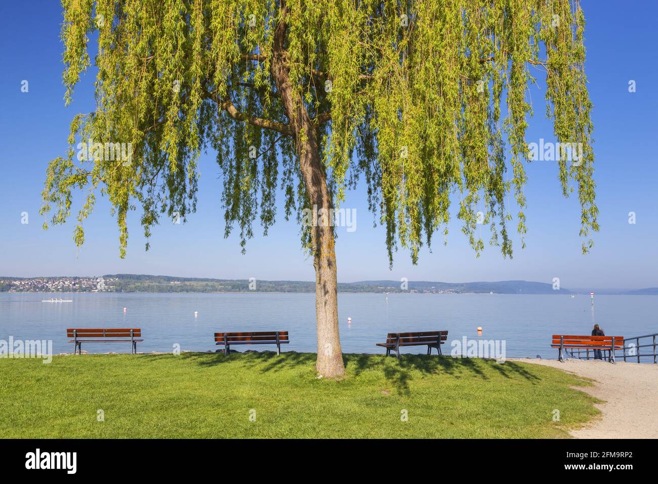 Strand am Bodensee in Uhldingen-Mühlhofen, Bodenseekreis, Baden,  Baden-Württemberg, Süddeutschland, Deutschland, Europa Stockfotografie -  Alamy