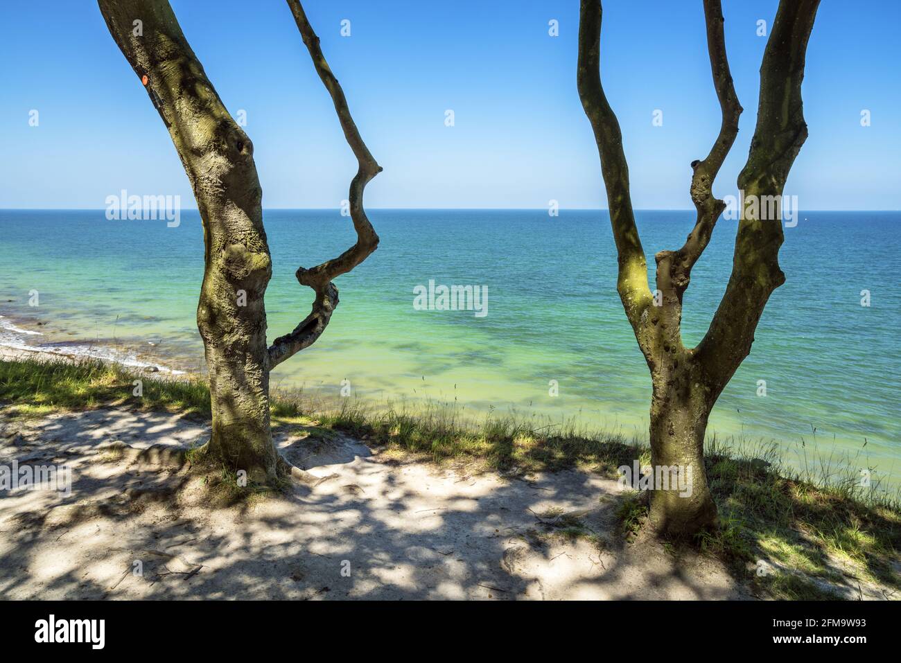 Weissenhäuser Strand Steilküste, Hohwachter Bay, Schleswig-Holstein, Deutschland Stockfoto