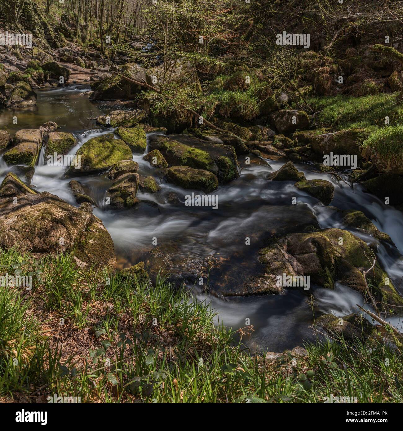 Schönes Landschaftsbild des Flusses Fowey in der Nähe der Golitha Falls in Cornwall mit milchigem Wasser mit langer Exposition Stockfoto