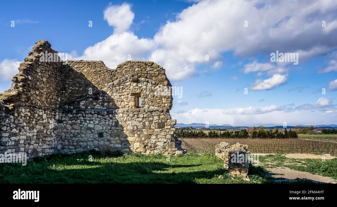 La grange cistercienne de Fontcalvy der Abtei Sainte-Marie de Fontfroide in der Nähe von Ouveillan wurde um 1300 erbaut. Ist ein Monument historique. Wandreste. Stockfoto