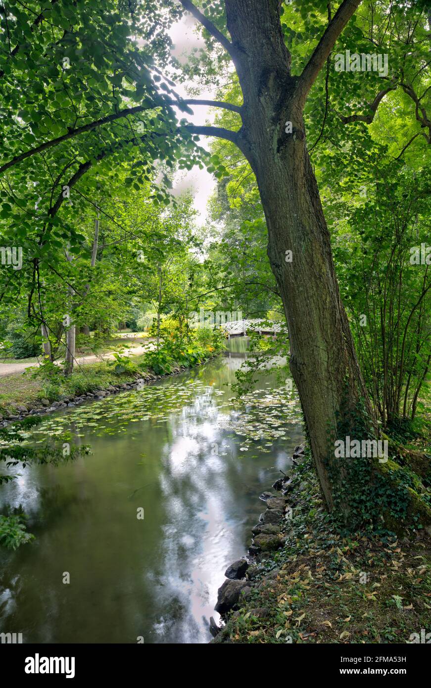 Kurpark, Grünanlage, Park, Brücke, Teich, Tauber, Romantische Straße