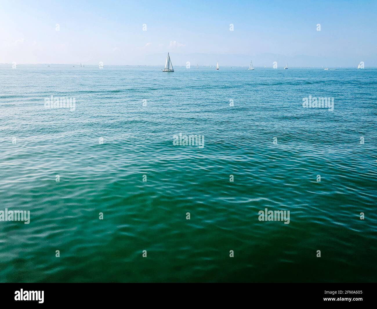 Bodensee, See, Insel, Lindau, Segelboot, Bayern, Deutschland Stockfoto