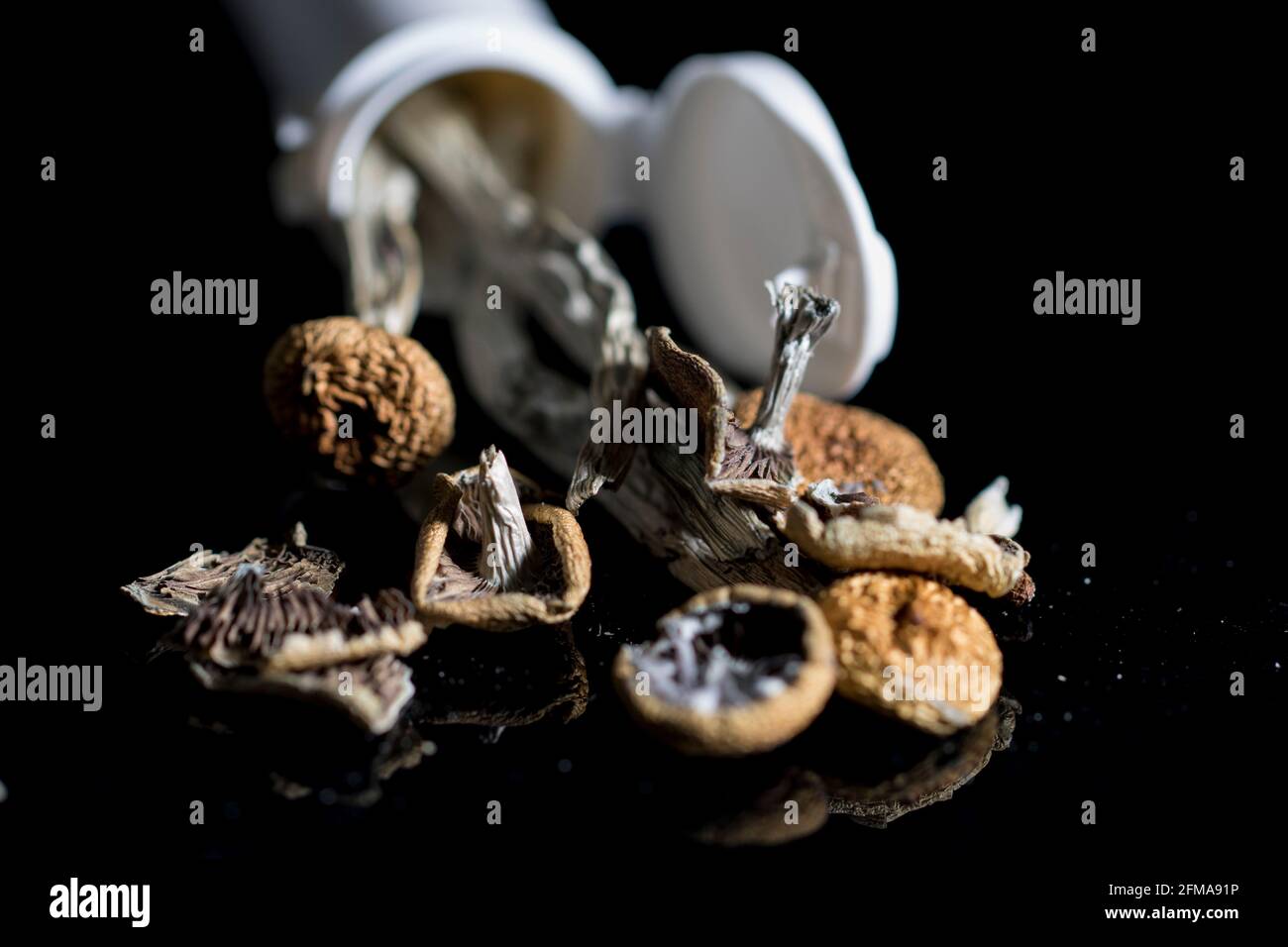 Getrocknete Psilocybin-Pilze in einer medizinischen Flasche auf schwarzem Hintergrund. Medizinische entheogene Stoffe. Stockfoto