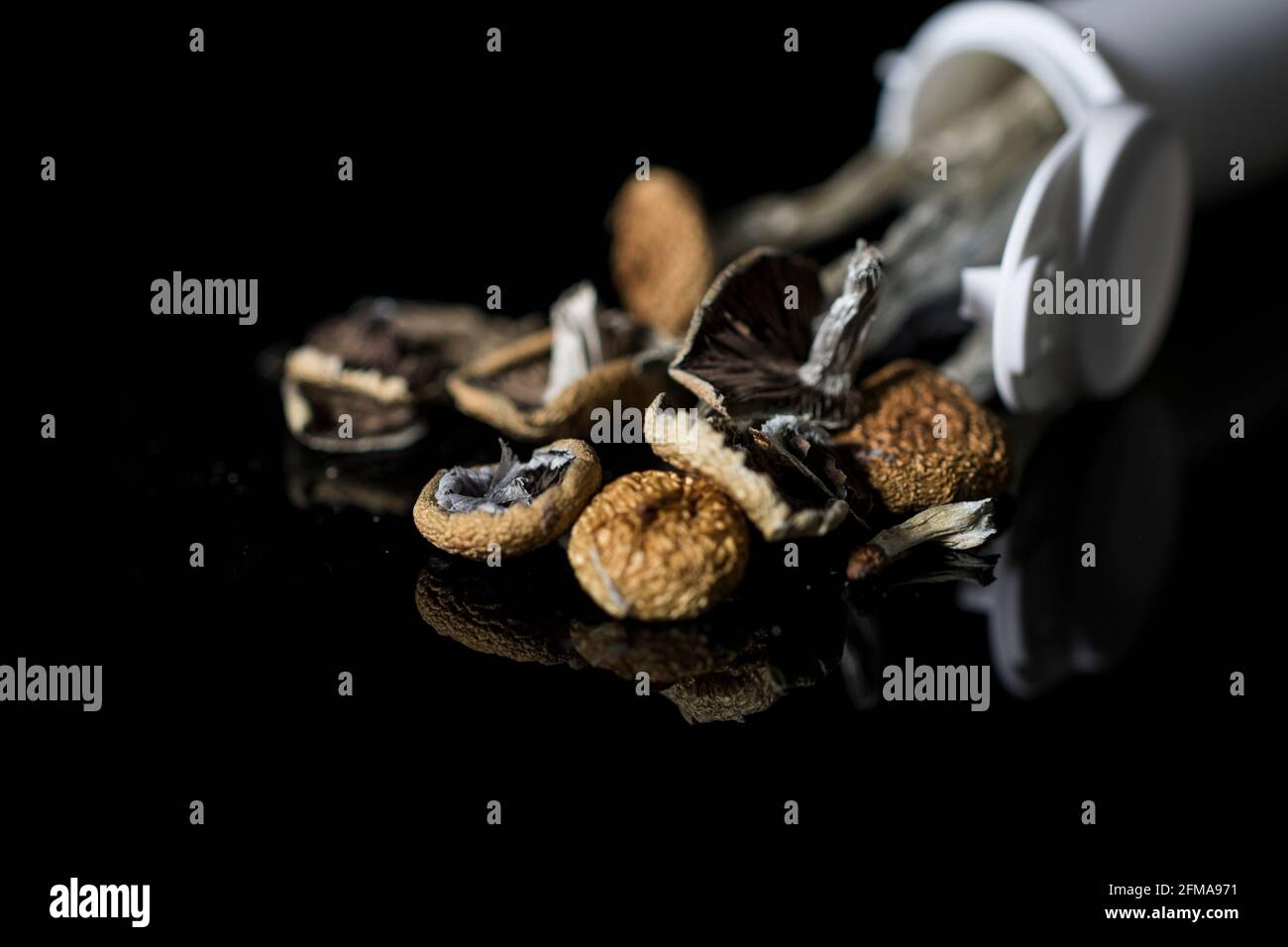 Psilocybin-Pilze in der medizinischen Flasche, die für die Therapie verwendet wird. Stockfoto