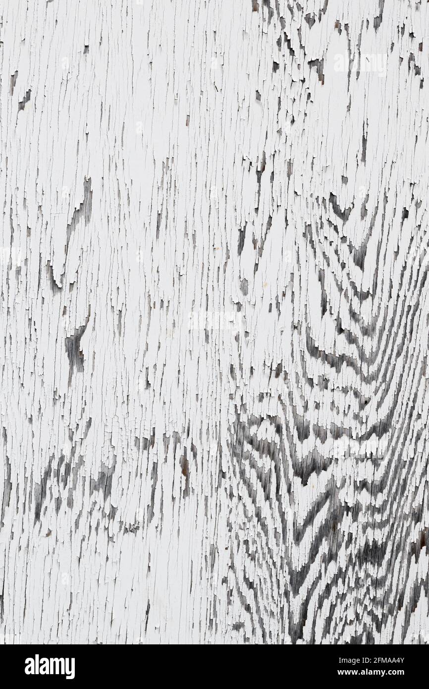 Weiße Farbe schält altes Holz ab und erzeugt Linienmuster Und Zebrastreifen Stockfoto