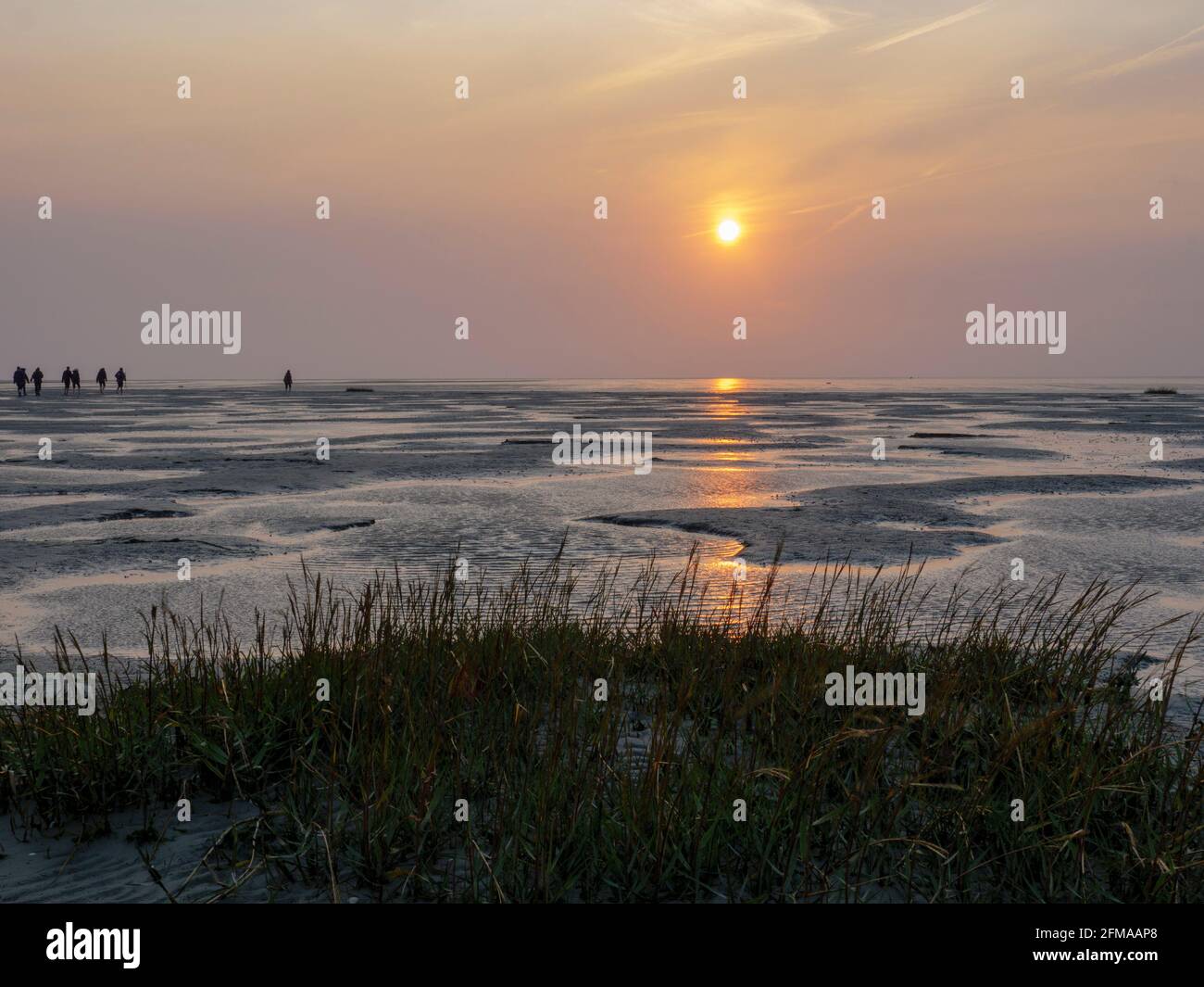 Watt, Sonnenuntergang, Westerheversand, Nationalpark Wattenmeer, UNESCO-Weltkulturerbe, Schleswig-Holstein, Deutschland Stockfoto