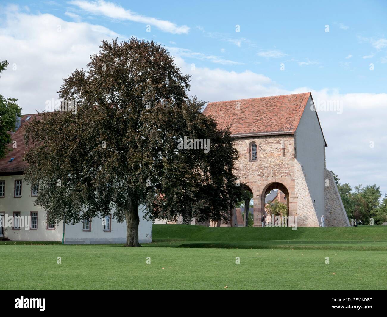 Kloster Lorsch, Baum auf Klostergelände, UNESCO-Weltkulturerbe, Hessen, Deutschland - Kloster Lorsch, UNESCO-Weltkulturerbe, Hessen, Deutschland Stockfoto