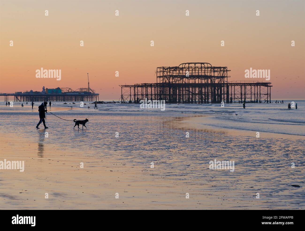 Spaziergang am Strand bei Ebbe mit einem Hund. Die Silhouetten der Pfeiler im Hintergrund. Brighton & Hove, Sussex, England, Großbritannien Stockfoto