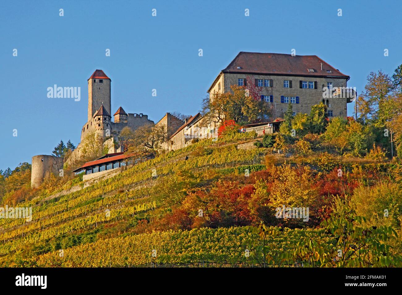 Schloss Hornberg, die Burg wurde wahrscheinlich spätestens im 11. Jahrhundert gegründet, im Besitz von Graf von Lauffen, Herren von Dürn, Götz von Berlichingen, Neckarzimmern, Baden-Württemberg, Unter anderem in Deutschland Stockfoto