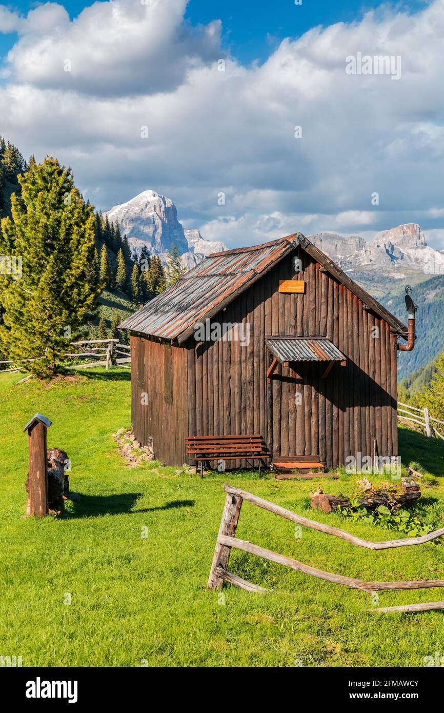 Berghütten im Sommer, ländliche Höhenlandschaft in den dolomiten, Almen von Laste, rocca Pietore, Belluno, Venetien, Italien Stockfoto
