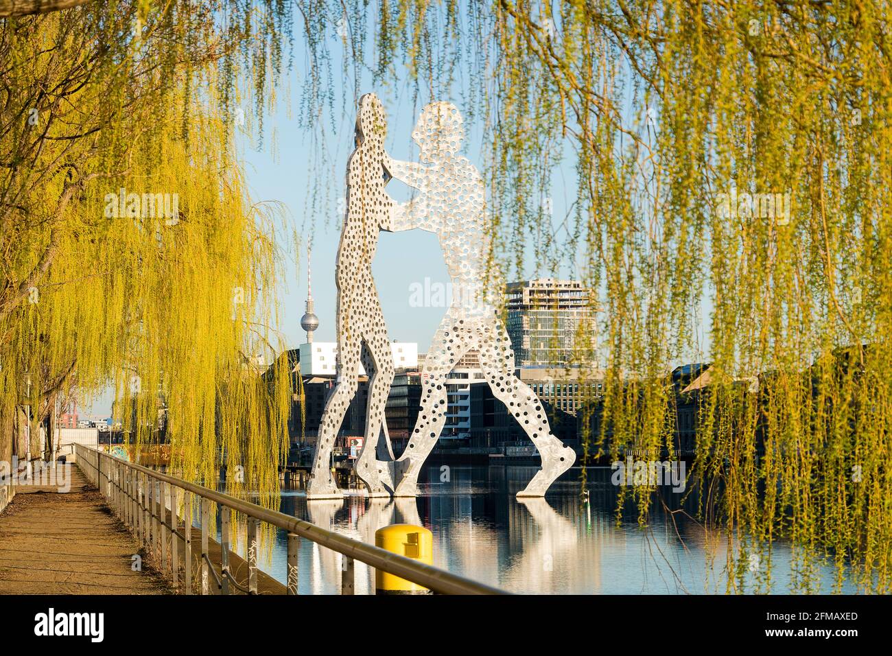 Berlin, Spree, Skulptur 'Molecule man', Promenade, Blick durch Weidenzweige Stockfoto