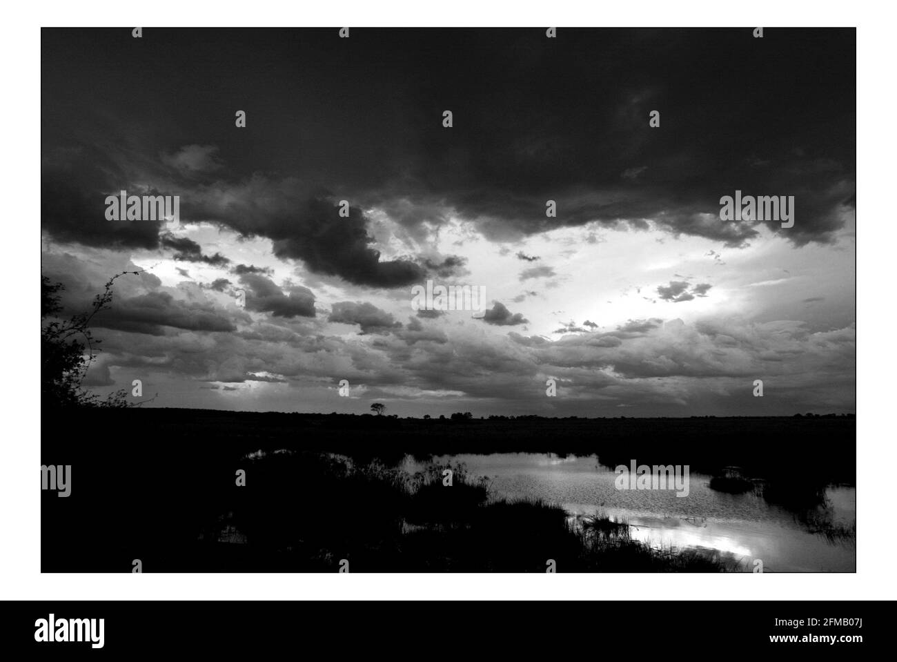 Unabhängiger Weihnachtsappellan...... Integrierte ländliche Entwicklung und Naturschutz (IRDNC) in Namibia.die trockene Wüstenlandschaft Namibias wartet auf die ersten Regenfälle der Saison. Ein klarer, bakeing blauer Himmel wird langsam in ein tiefes dunkelgrau gekocht, während die Wolken in Rollen. Der Regen stürmt und sobald knochentrockene Flüsse zum Leben erwacht. Foto von David Sandison November 2004 Stockfoto