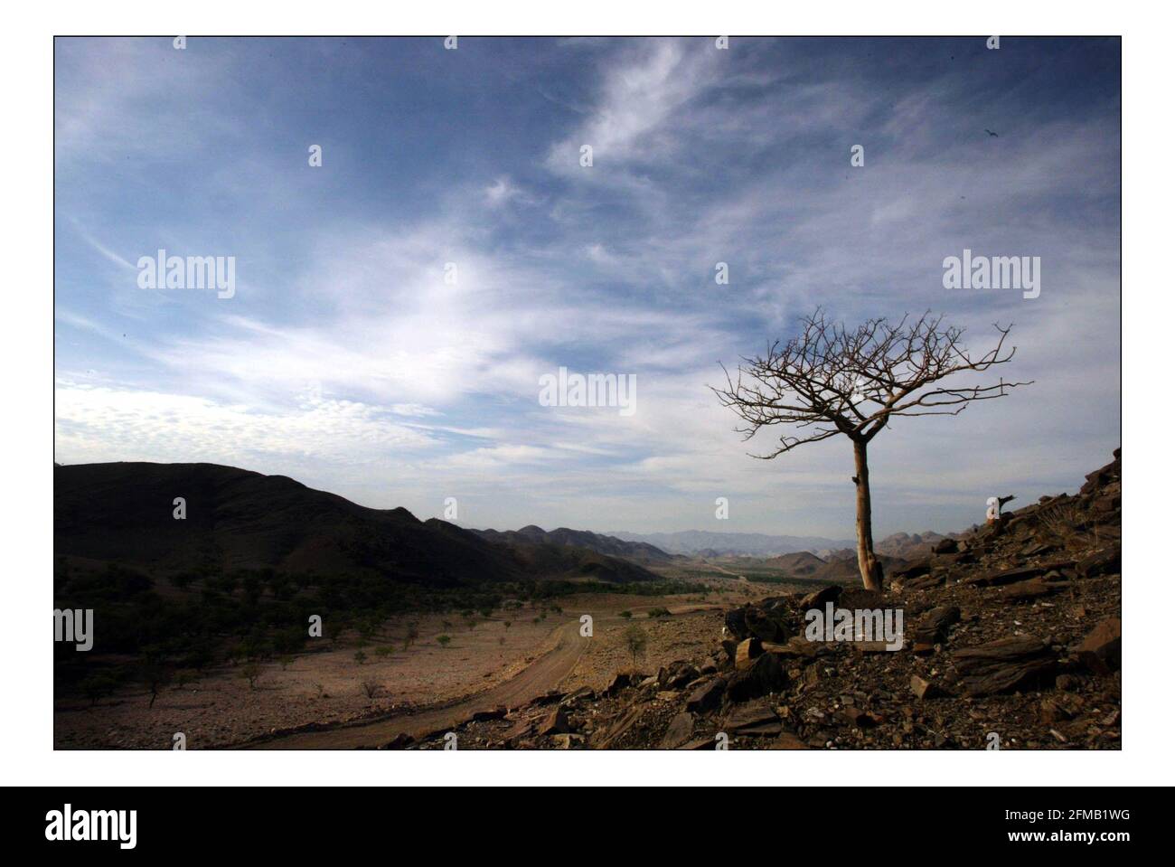 Unabhängiger Weihnachtsappellan...... Integrierte ländliche Entwicklung und Naturschutz (IRDNC) in Namibia.die trockene Wüstenlandschaft Namibias wartet auf die ersten Regenfälle der Saison. Ein klarer, bakeing blauer Himmel wird langsam in ein tiefes dunkelgrau gekocht, während die Wolken in Rollen. Der Regen stürmt und sobald knochentrockene Flüsse zum Leben erwacht. Foto von David Sandison November 2004 Stockfoto