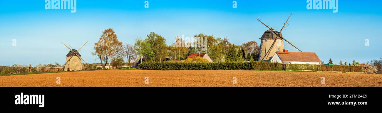 Deutschland, Sachsen-Anhalt, Ebersroda, gepflügte Feld- und Turmwindmühlen im Frühjahr Stockfoto