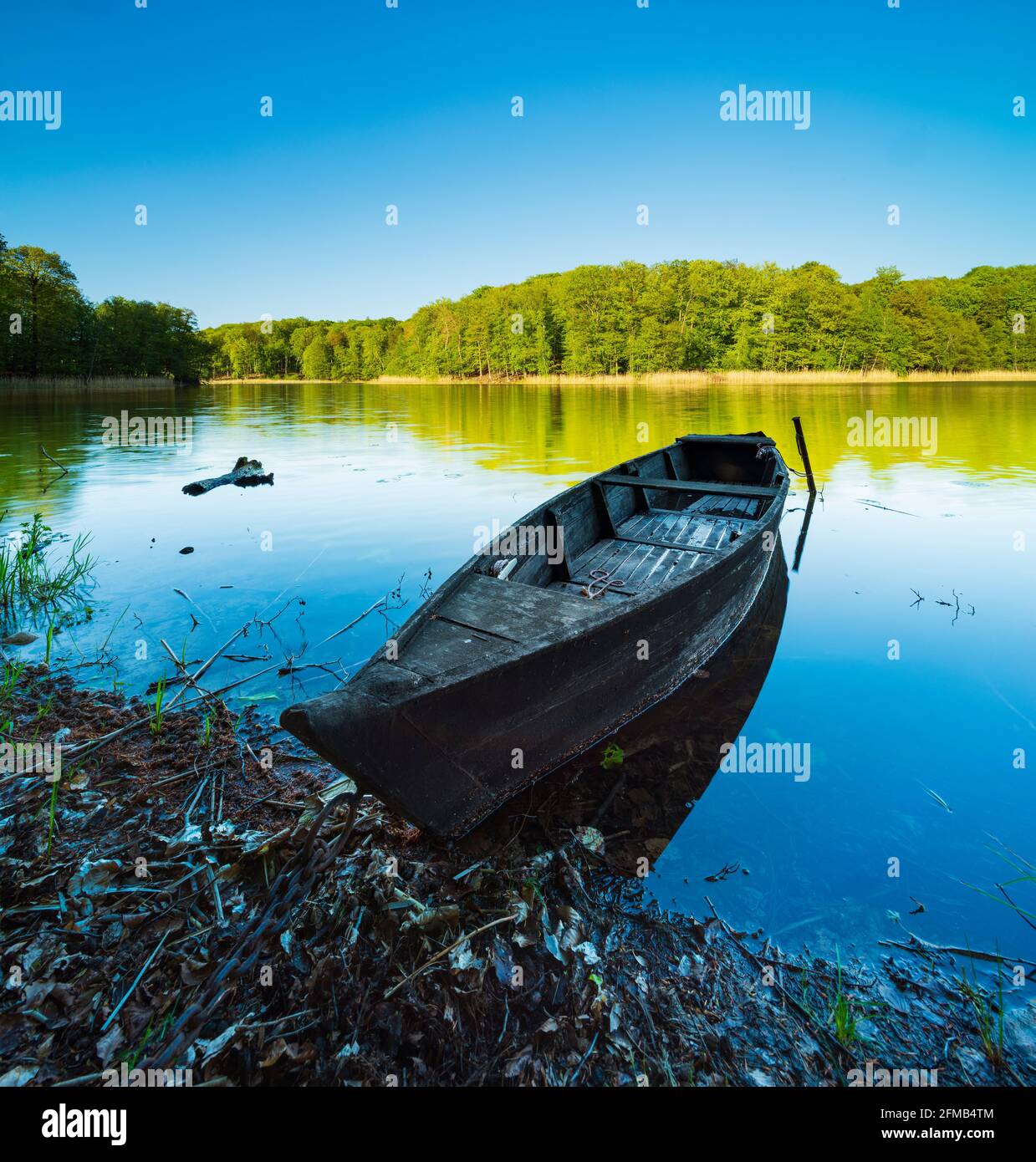 Deutschland, Brandenburg, Grumsiner Forst, UNESCO Weltkulturerbe Buchenwald Grumsin, Ruderboot auf dem Großen Schwarzsee Stockfoto