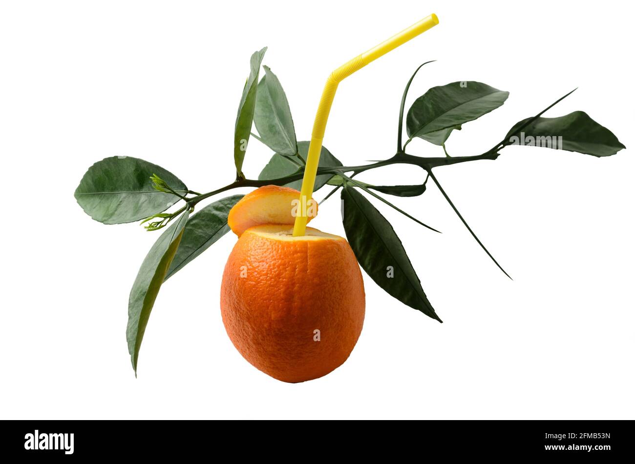 Natürlicher Orangensaft. Orangen mit einem Trinkschlauch und einem Zweig mit grünen Blättern. Isoliert auf Weiß. Selektiver Fokus. Stockfoto