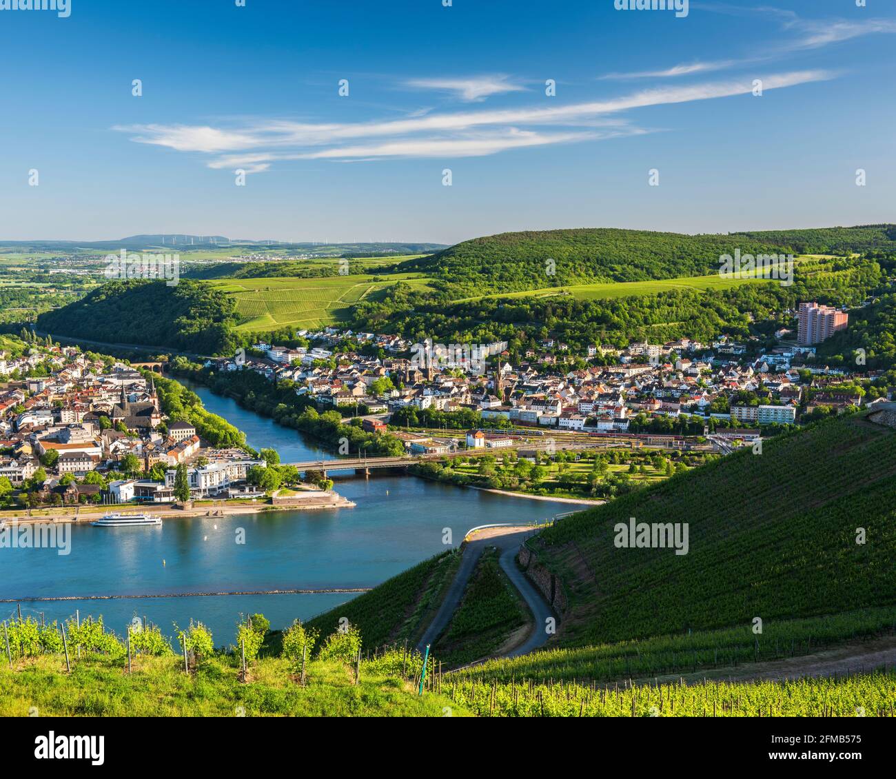 Deutschland, Hessen, Rheingau, Rüdesheim, Blick vom Rüdesheimer Berg über Weinberge nach Bingen bis zum Zusammenfluss der nahe im Rhein, Weltkulturerbe Oberes Mittelrheintal Stockfoto