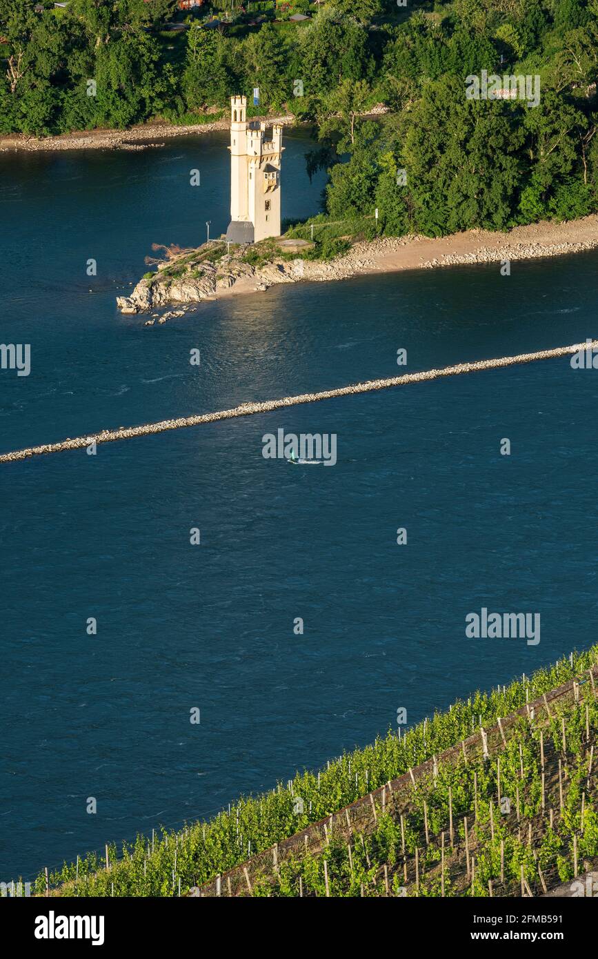 Deutschland, Hessen, Rheingau, Rüdesheim, Assmannshausen, Blick auf den Mausturm im Rhein bei Bingen, Weltkulturerbe Oberes Mittelrheintal Stockfoto