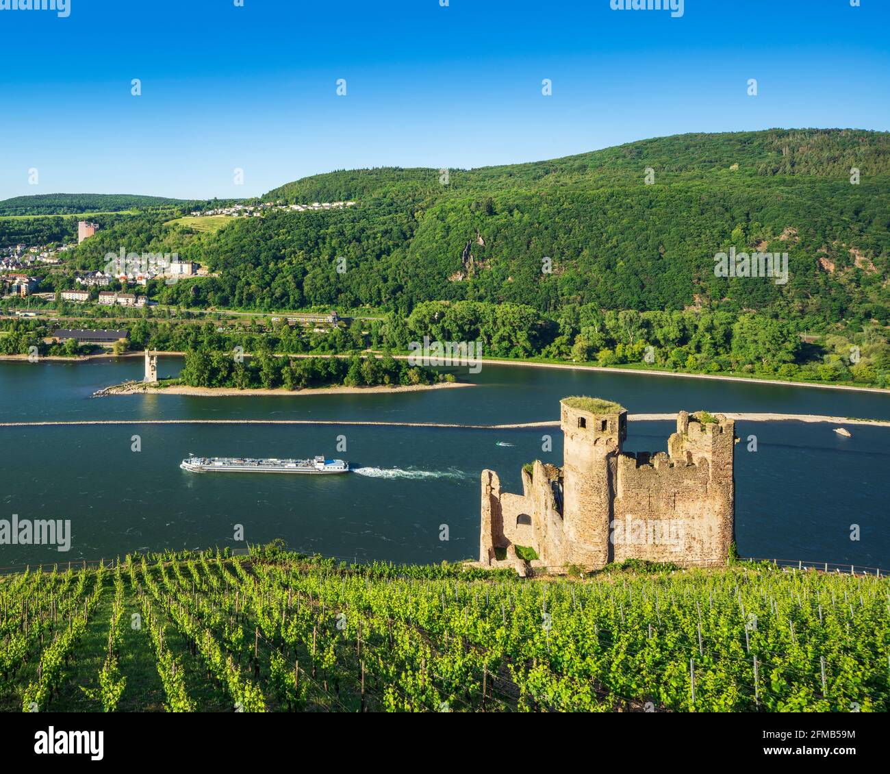 Deutschland, Hessen, Rheingau, Rüdesheim, Assmannshausen, Burgruine Ehrenfels in den Weinbergen am Rhein, hinter dem Mausturm bei Bingen, Weltkulturerbe Oberes Mittelrheintal Stockfoto