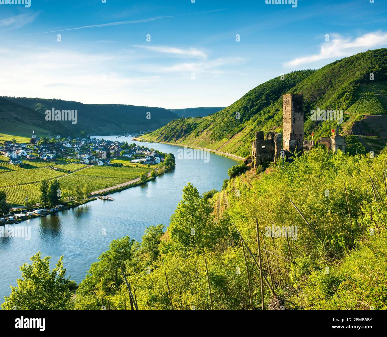 Deutschland, Rheinland-Pfalz, Beilstein (Mosel), Blick in das Moseltal mit der Burgruine Beilstein, hinter Ellenz-Poltersdorf Stockfoto