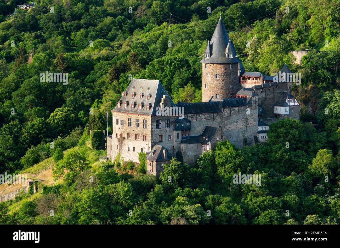 Deutschland, Rheinland-Pfalz, Bacharach, Weltkulturerbe Oberes Mittelrheintal, Schloss Stahleck am Rhein Stockfoto
