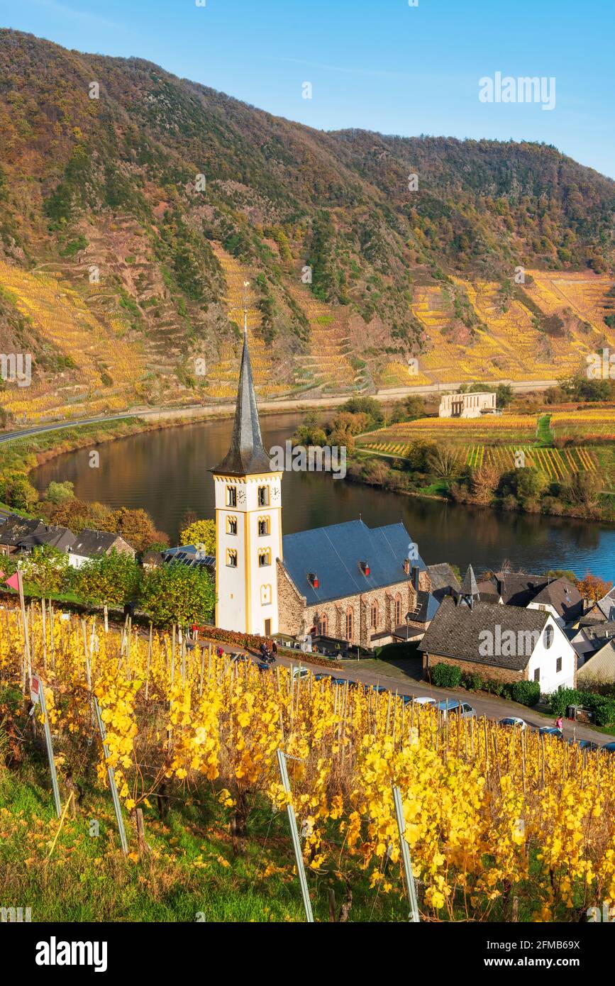 Deutschland, Rheinland-Pfalz, Bremm (Mosel), Weindorf Bremm an der Mosel mit Sankt Laurentius Kirche, in der hinteren Klosterruine Stuben Stockfoto