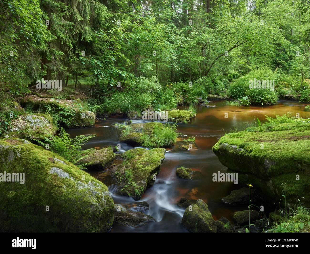 Höllfall, Waldviertel, Niederösterreich, Österreich Stockfoto