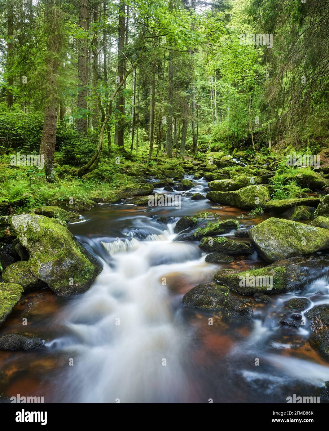 Höllfall, Waldviertel, Niederösterreich, Österreich Stockfoto