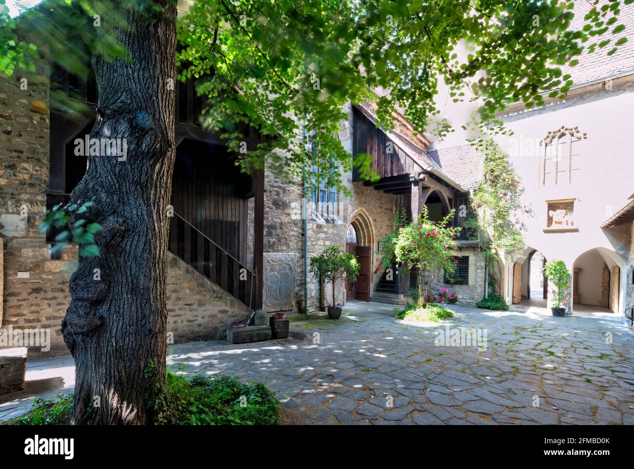 Michaeliskirche, Kirchhof, Eingang, Michaeliskirchhof, Hausfassade, Altstadt, Sommer, Erfurt, Thüringen, Deutschland, Europa Stockfoto