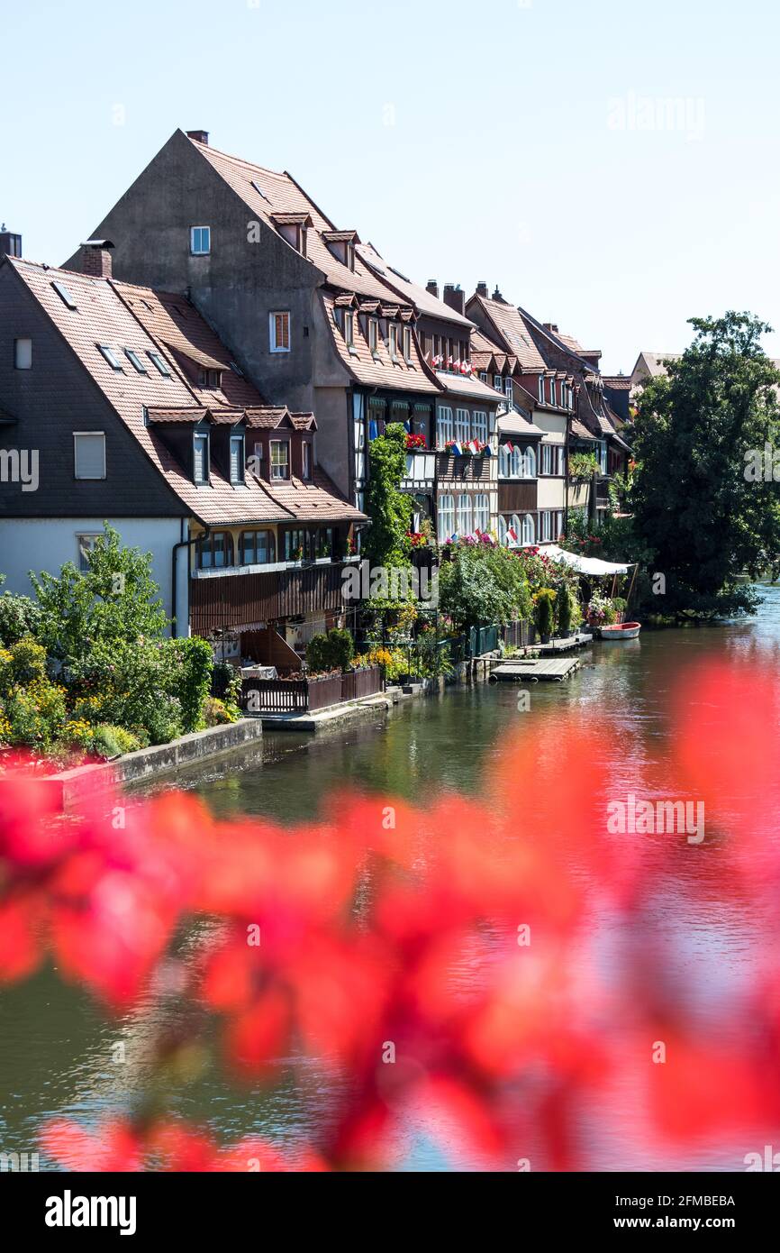 Blick auf die Fachwerkhäuser in 'Little Venice' auf die Regnitz in Bamberg in Bayern / Oberfranken Stockfoto