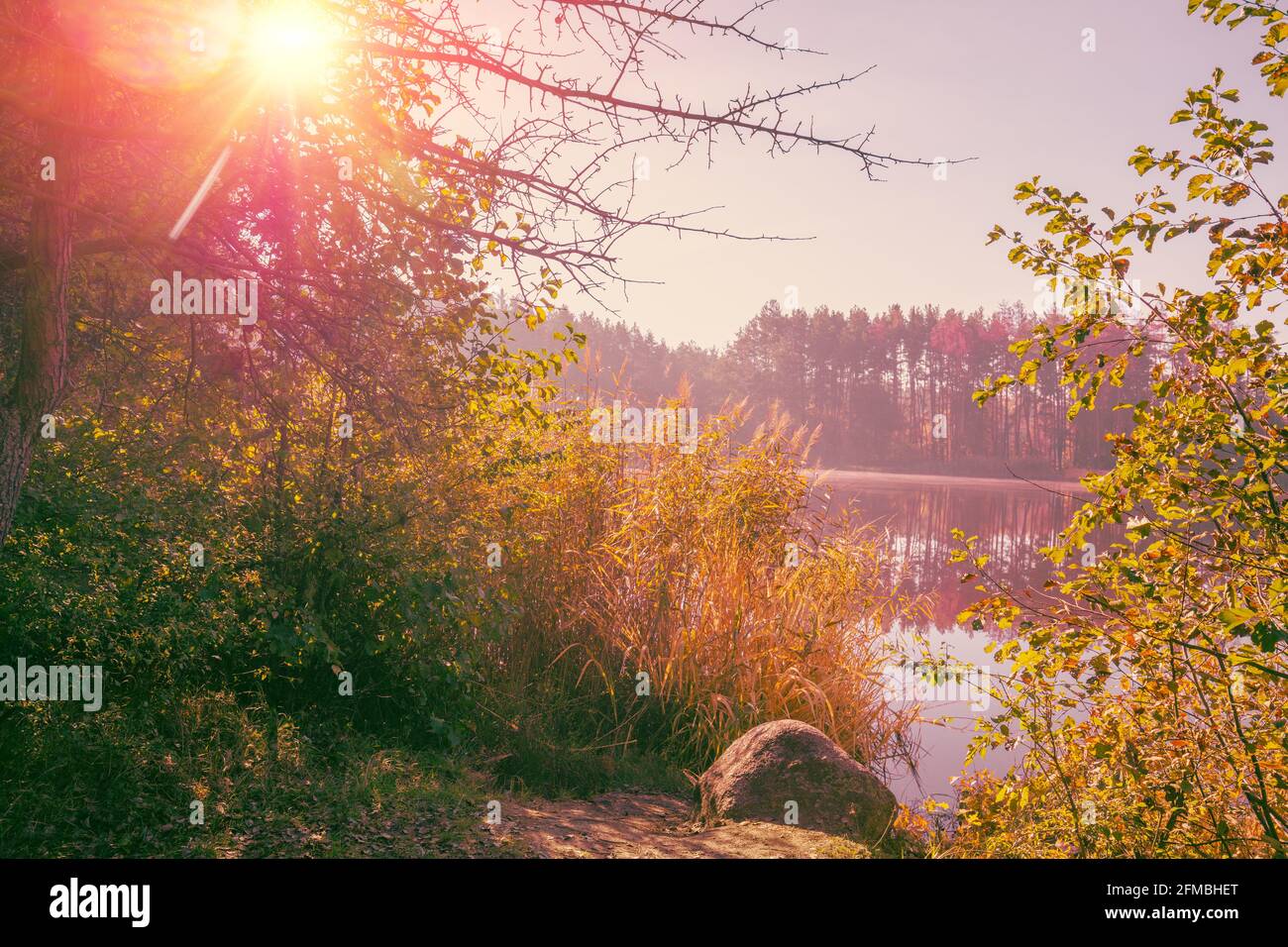Früher nebliger Herbstmorgen. Sonnenaufgang über dem Waldsee Stockfoto