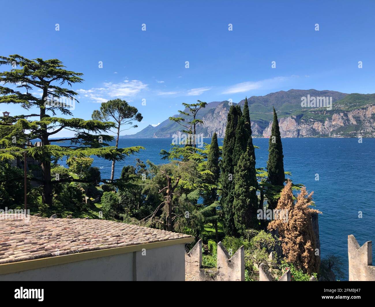 Blick auf den Gardasee, von Malcesine nach Südwesten, Zypressen, Pinien, blauer Himmel, blauer See, Natur, Gardasee Berge, Venetien, Italien Stockfoto