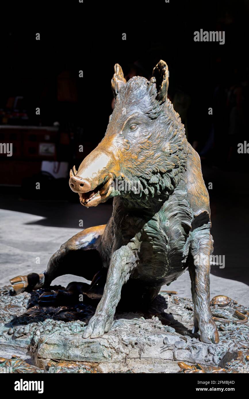 Die Bronze des Porcellino, die berühmte Statue eines Wildschweins in der Nähe der Loggia del Mercato Nuovo, Ledermarkt in Florenz, Toskana, Italien Stockfoto