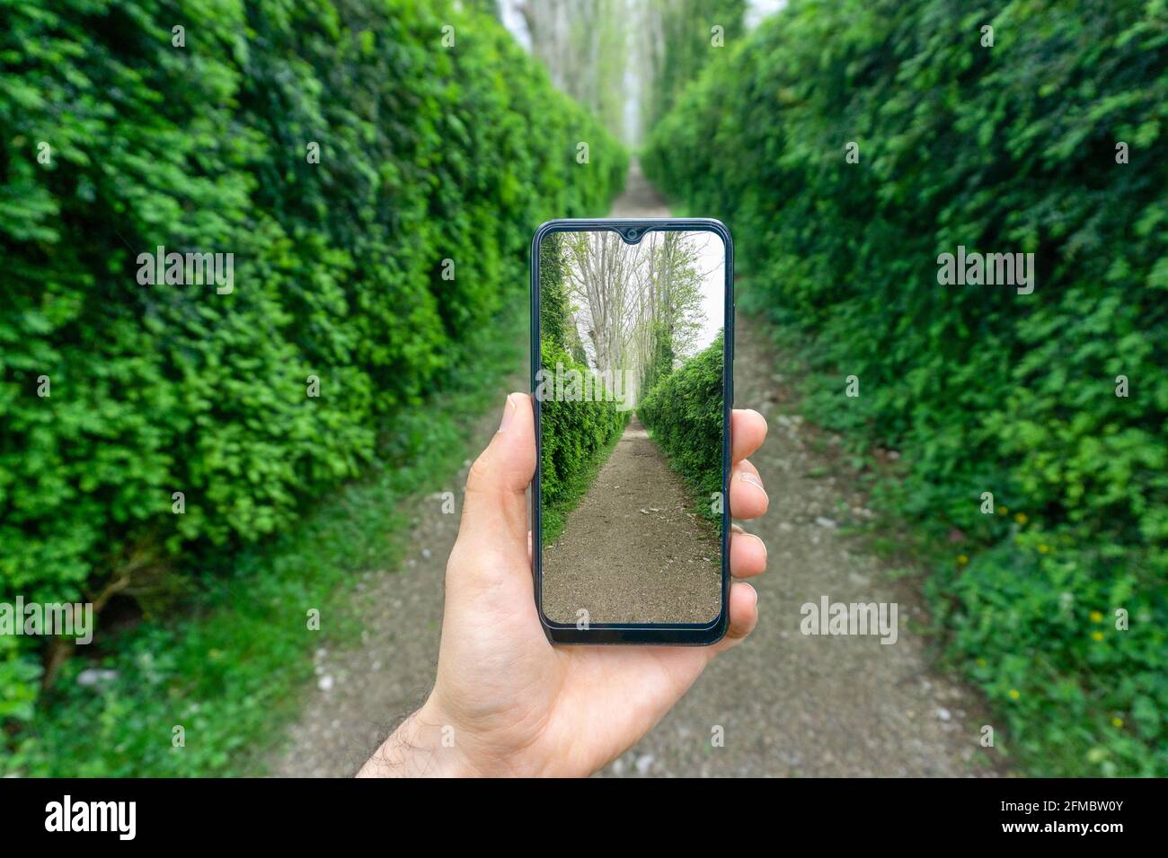 Hand mit einem Smartphone-Bild auf dem Hintergrund der Natur, Grün und die Straße im Park. Fotografie, Internet und Vernetzung im Reisekonzept. Hochwertige Fotos Stockfoto