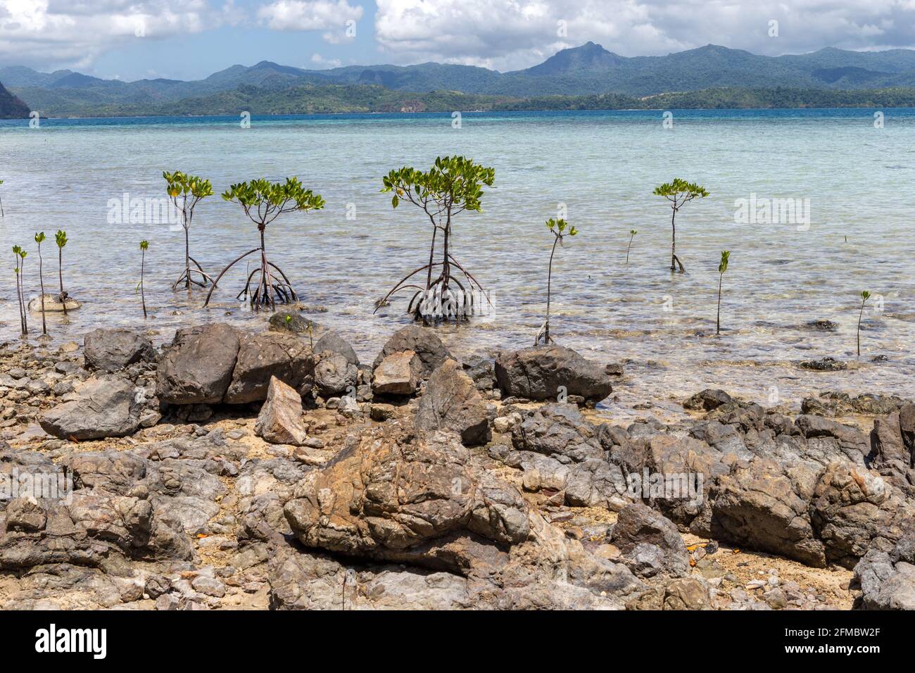 Dibuluan Island, El Nido, Palawan, Bacuit Bay, Philippinen Stockfoto