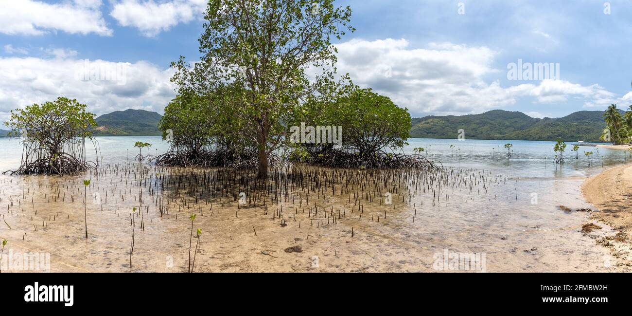 Dibuluan Island, El Nido, Palawan, Bacuit Bay, Philippinen Stockfoto