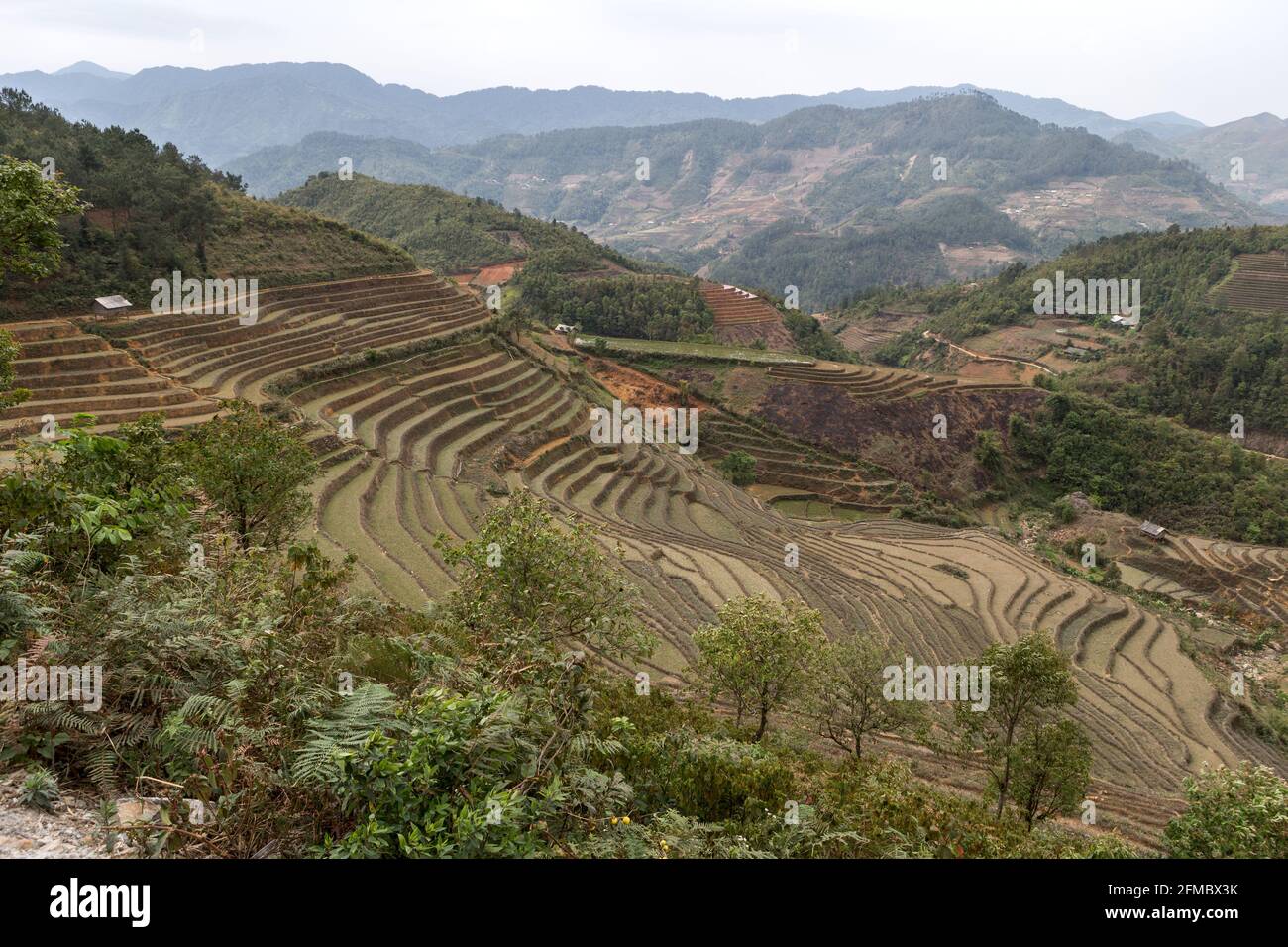 Terrassierte Reisfelder, Provinz Mu Cang Chai, Vietnam Stockfoto