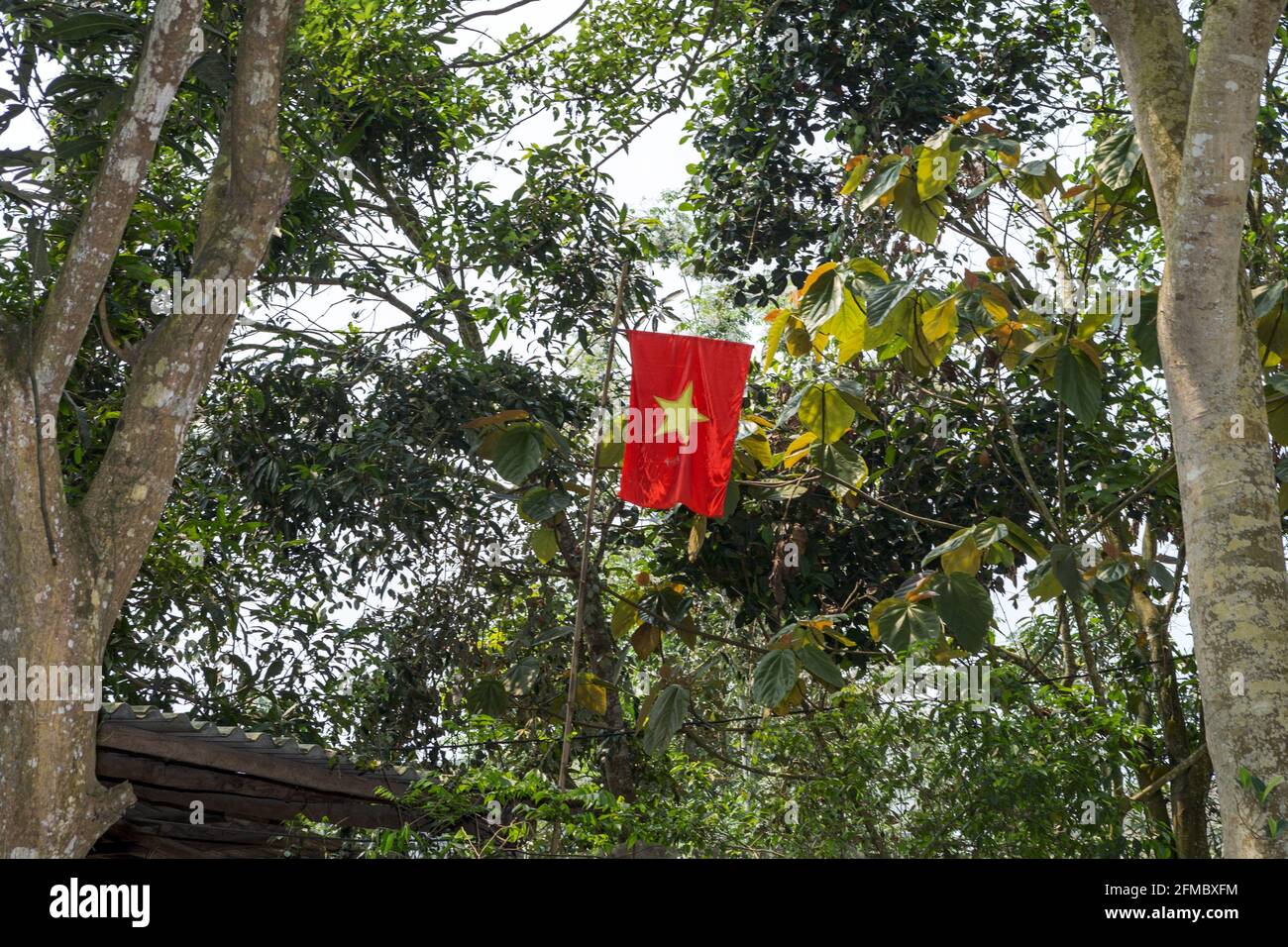 Stolze vietnamesische Flagge hing in Bäumen, Pa then Minority Village, Provinz Ha Giang, Vietnam Stockfoto