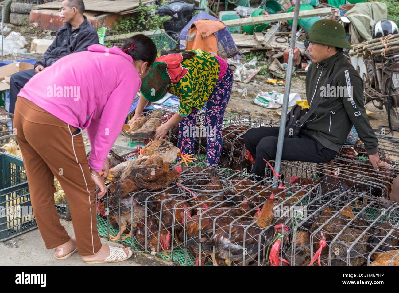 Kauf von Hühnern aus Käfigen, Quyet Tien ethnisch, Minderheitsmarkt, Provinz Ha Giang, Nordvietnam Stockfoto