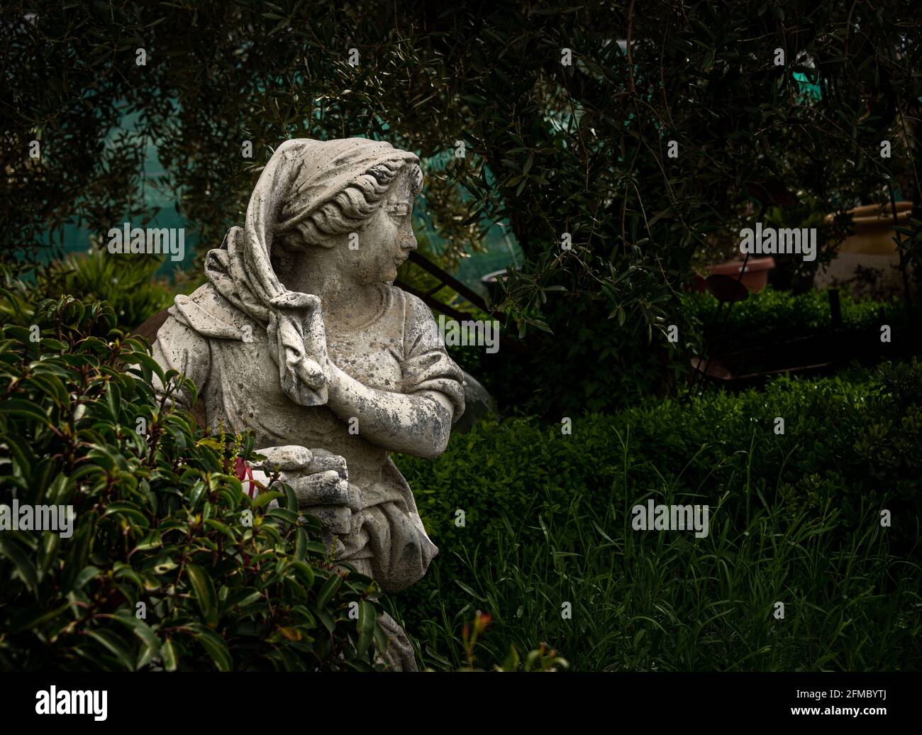 französischer Garten mit Statue, provence France.Gardening Konzept Stockfoto