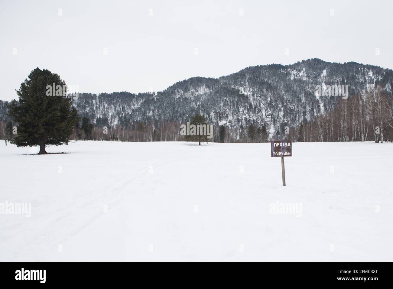 Schneebedeckte Bäume und Berge. Schöner Wintertag. Stockfoto
