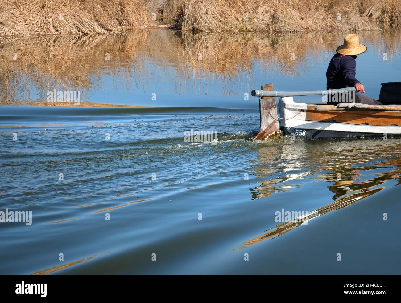 Lagunenspiegelungen im Gefolge eines kleinen Bootes im Naturpark Albufera, Valencia, Spanien. Der Bootsmann an der Deichsel des Bootes trägt einen Strohhut Stockfoto