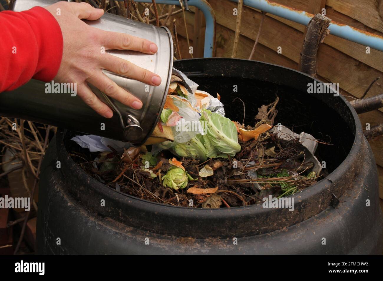 Leeren des Inhalts eines Küchenkompostbehälters in einen Außenkompostbehälter, um umweltfreundlichen Gartenkompost zu erzeugen und Abfall zu reduzieren. Stockfoto
