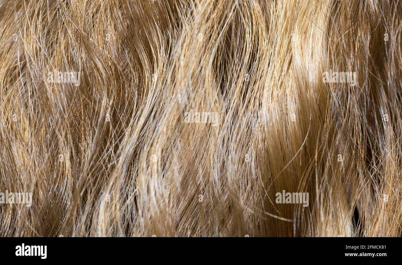Welliges Haarfragment als Textur-Hintergrundkomposition Stockfoto