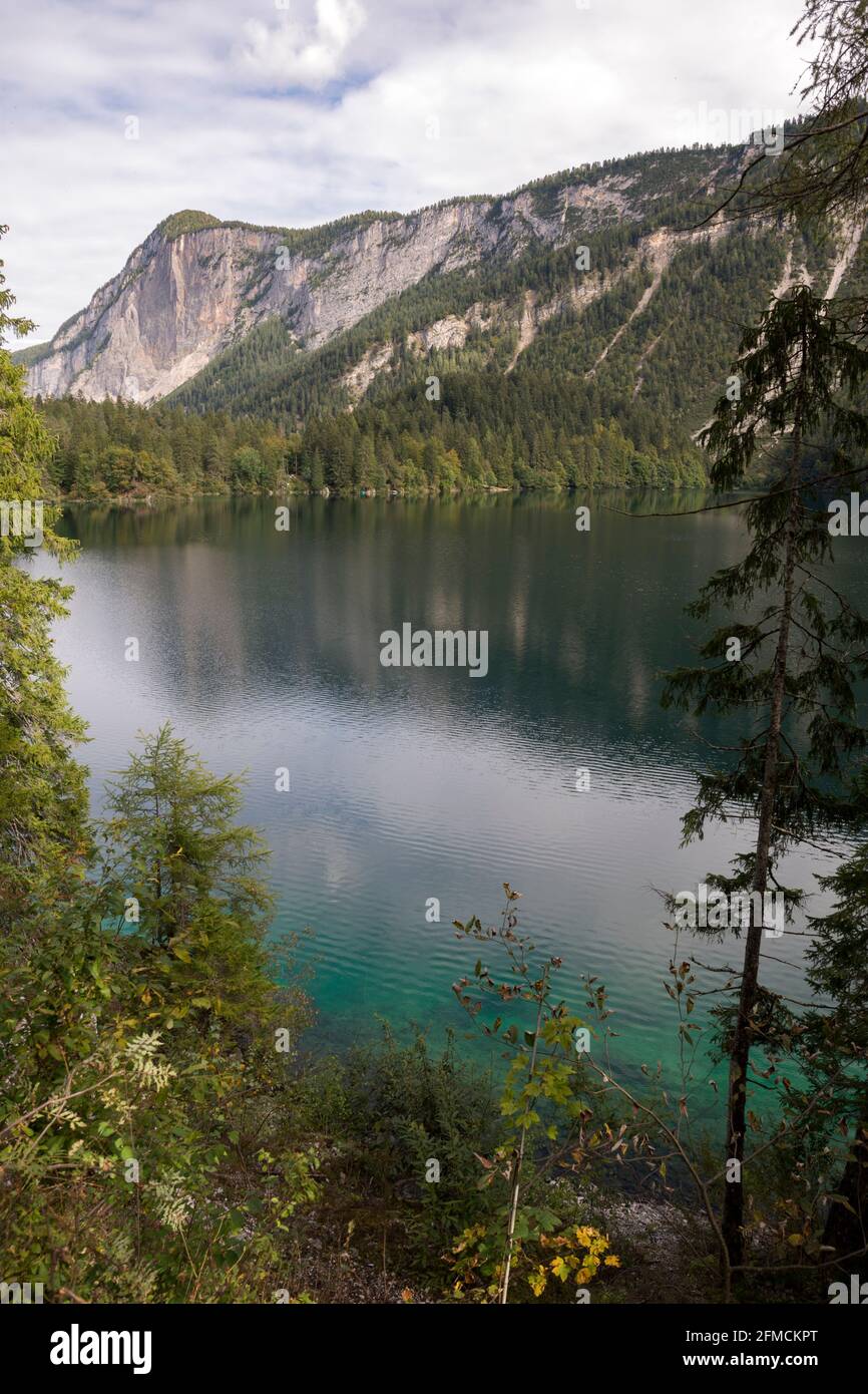 Einblicke und Details zum Tovelsee in Trentino-Südtirol In Italien Stockfoto
