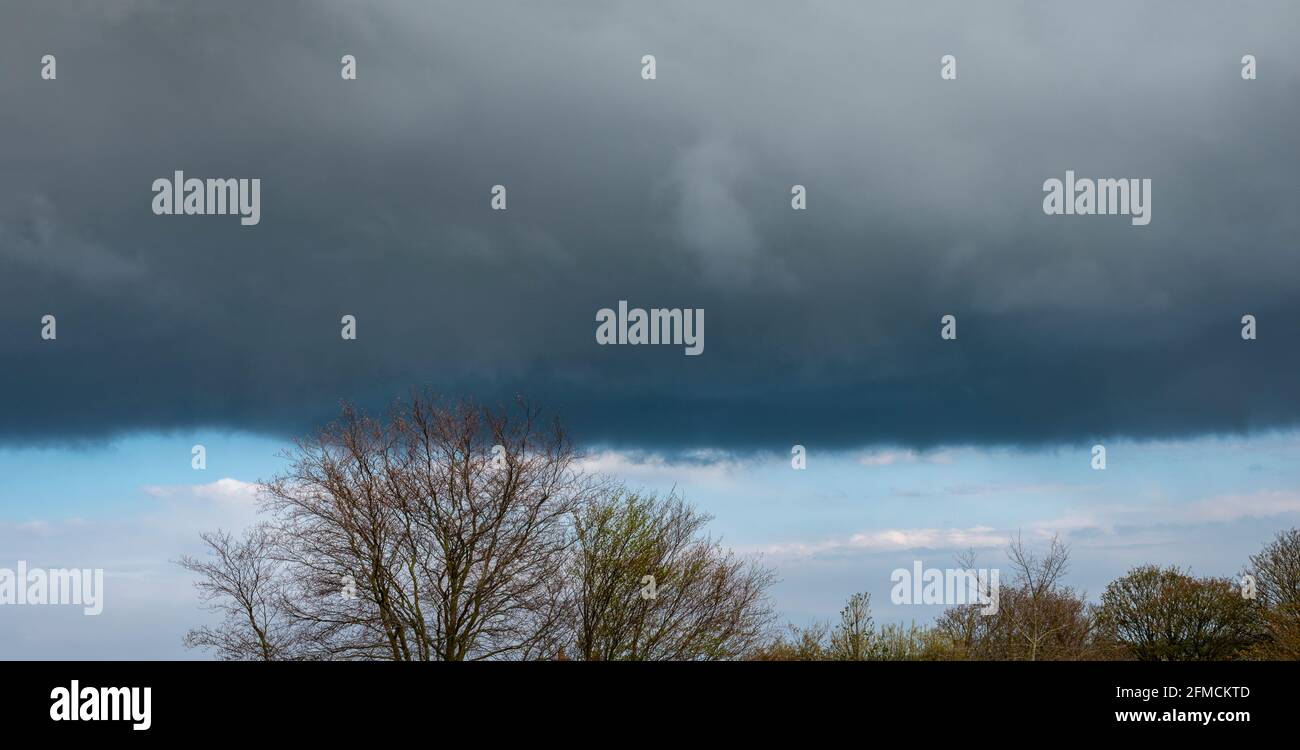 Eine niedrige dunkle horizontale Regenwolke hinter einer Linie von Baumkronen ohne Blätter Stockfoto