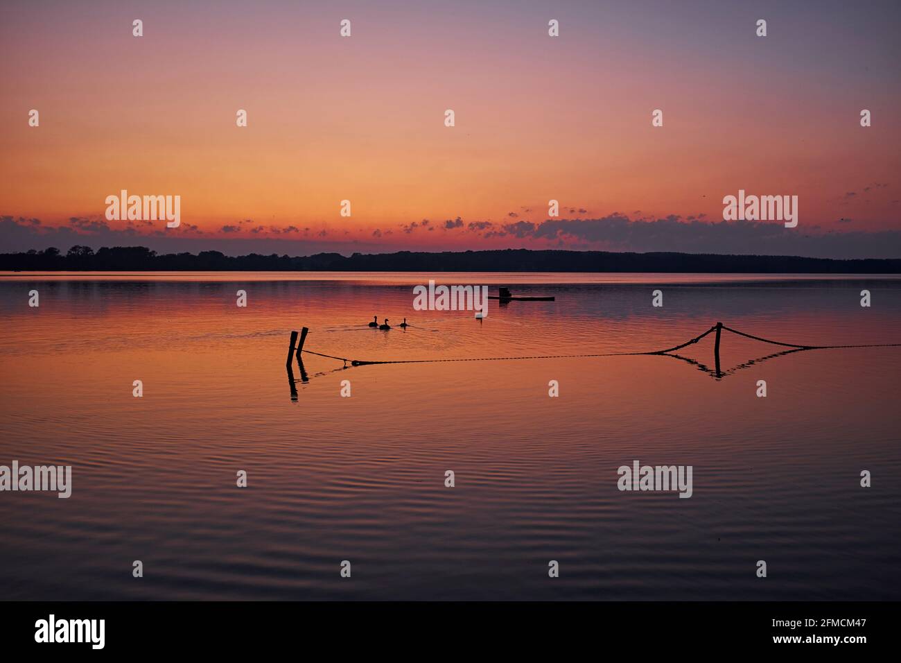 Ruhiger See im Abendlicht nach Sonnenuntergang in Norddeutschland Stockfoto