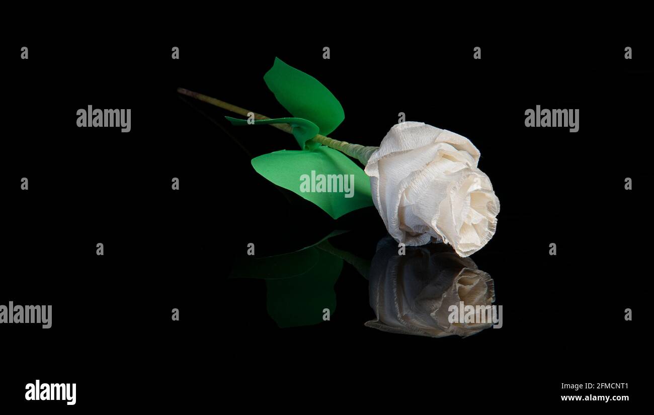 Die dekorative Kunst der künstlichen Blumen. Eine weiße Blüte der künstlichen Rosenblume auf einem schlichten, glänzenden, klaren schwarzen Hintergrund. Stockfoto